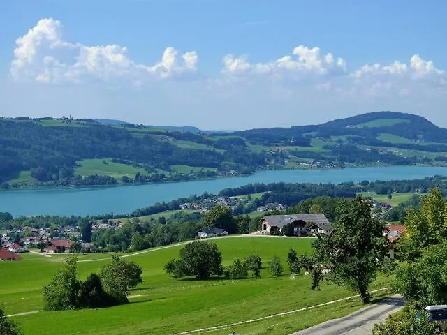 Wunderschoene Mit Seeblick Целль-ам-Мос