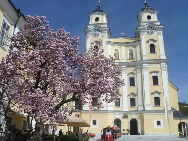 Wunderschoene Mit Seeblick Daire