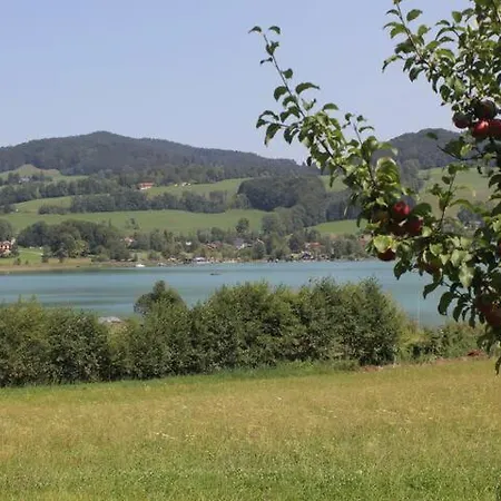 Wunderschoene Mit Seeblick Apartament Zell am Moos