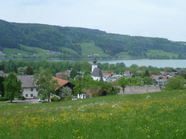 Wunderschoene Mit Seeblick