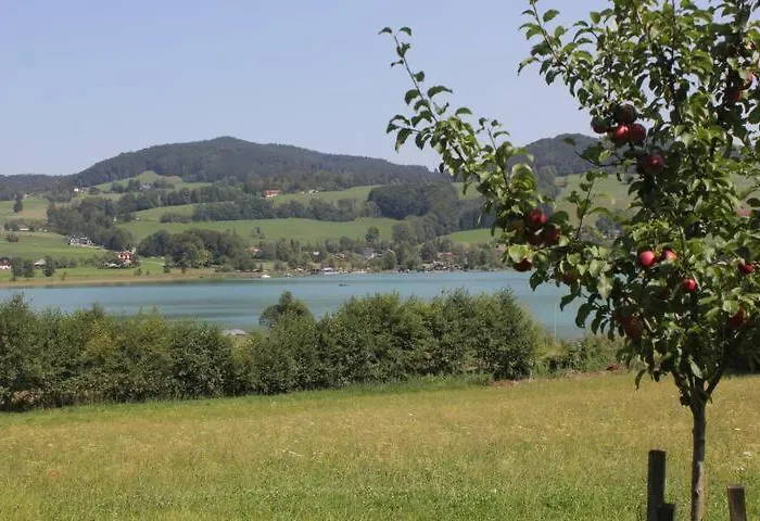 Wunderschoene Mit Seeblick Appartement Zell am Moos